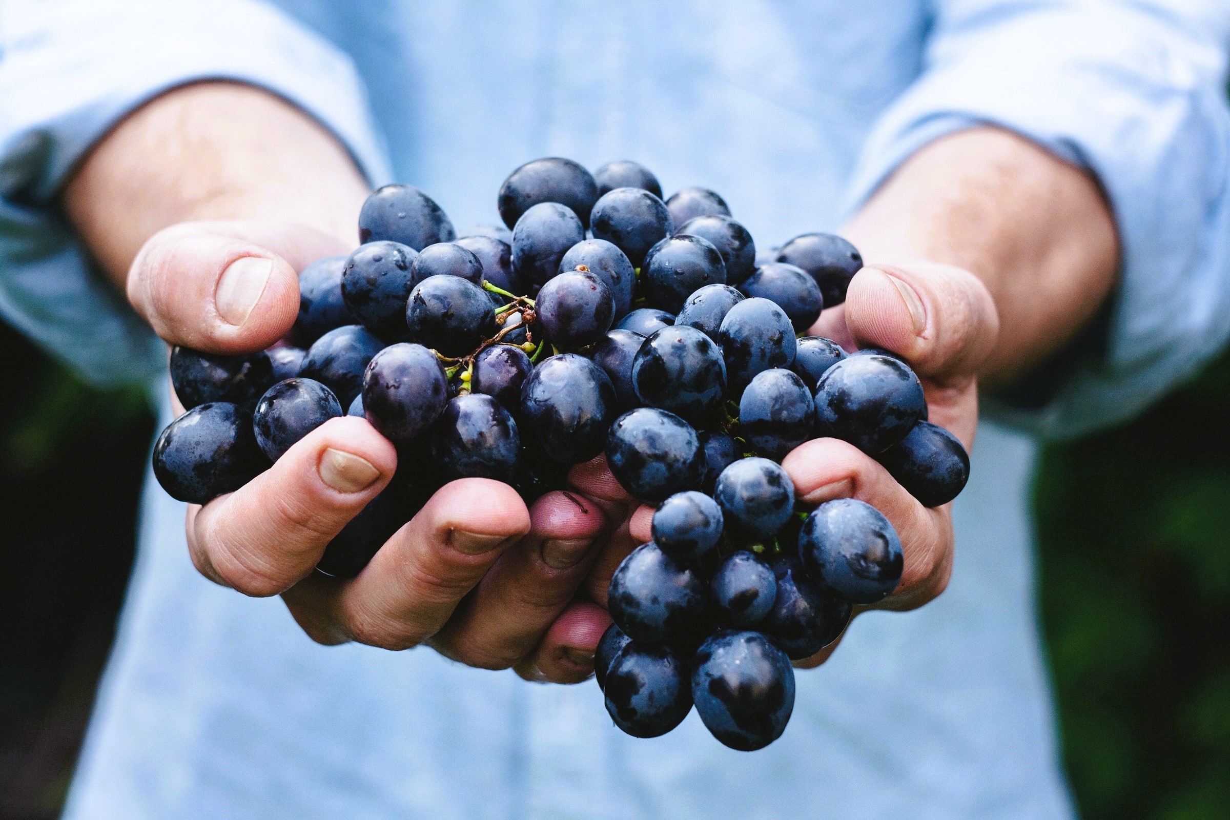 maja-petric-vGQ49l9I4EE-unsplash